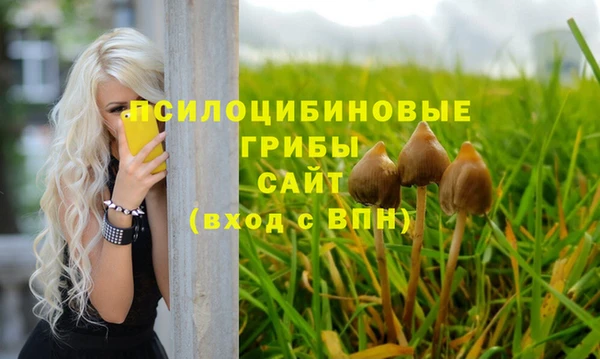 apvp Абдулино